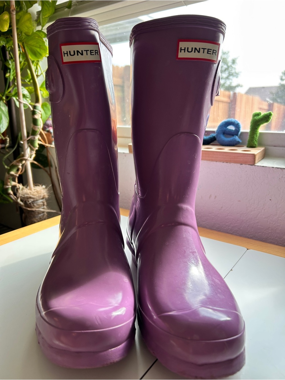 Hunter light purple high gloss short boots